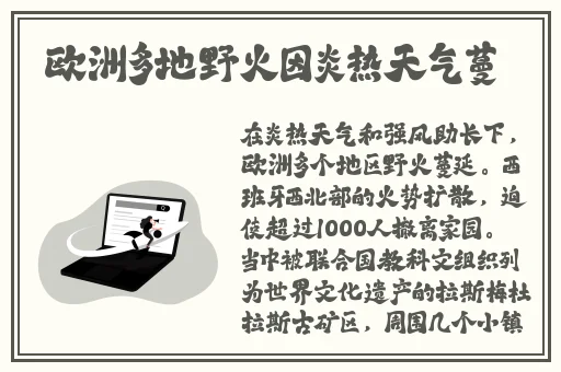 99品一二三产区区别