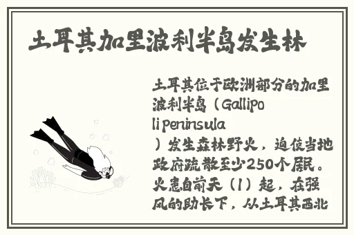 老虎菜肖静雯第几弹